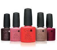 Палитра Shellac